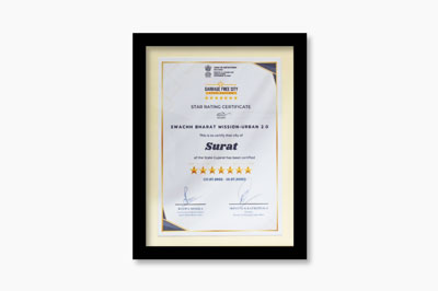 7 Star Garbage Free City Award Photo