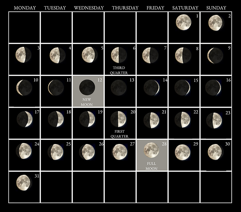 Moon phases image - August 2026