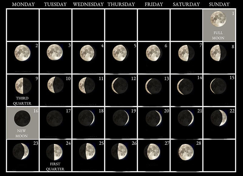 Moon phases image - February 2026