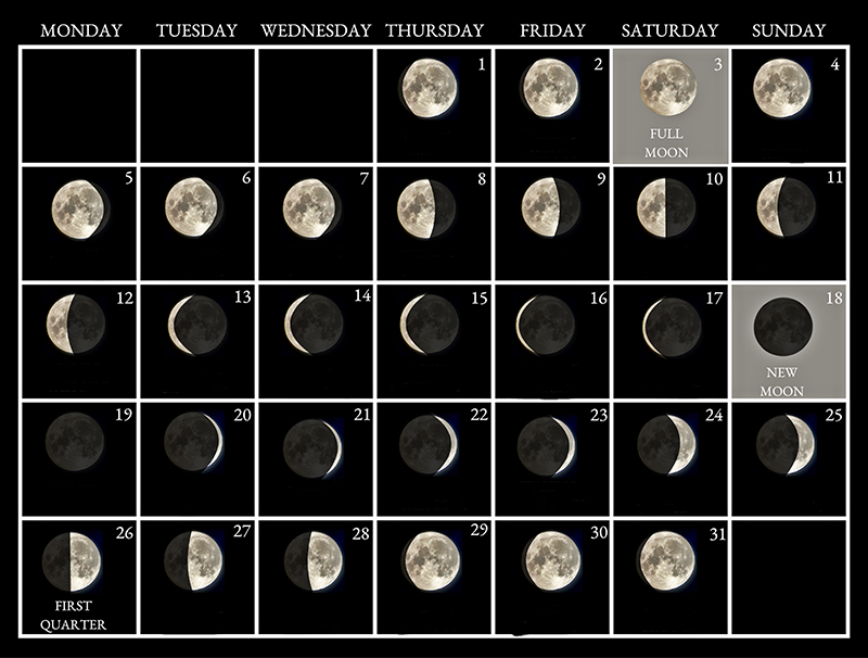 Moon phases image - January 2026