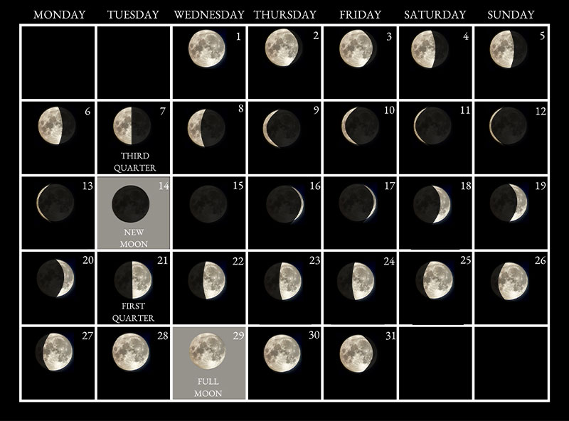 Moon phases image - July 2026