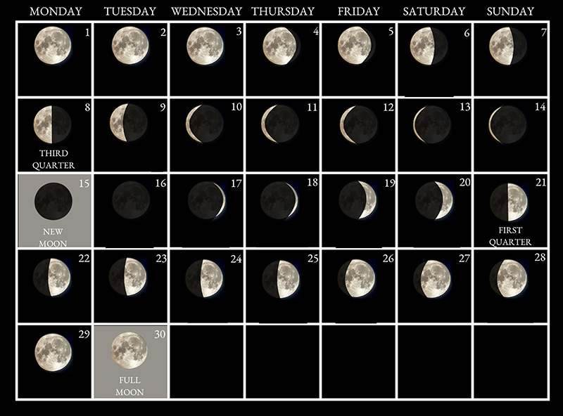 Moon phases image - June 2026
