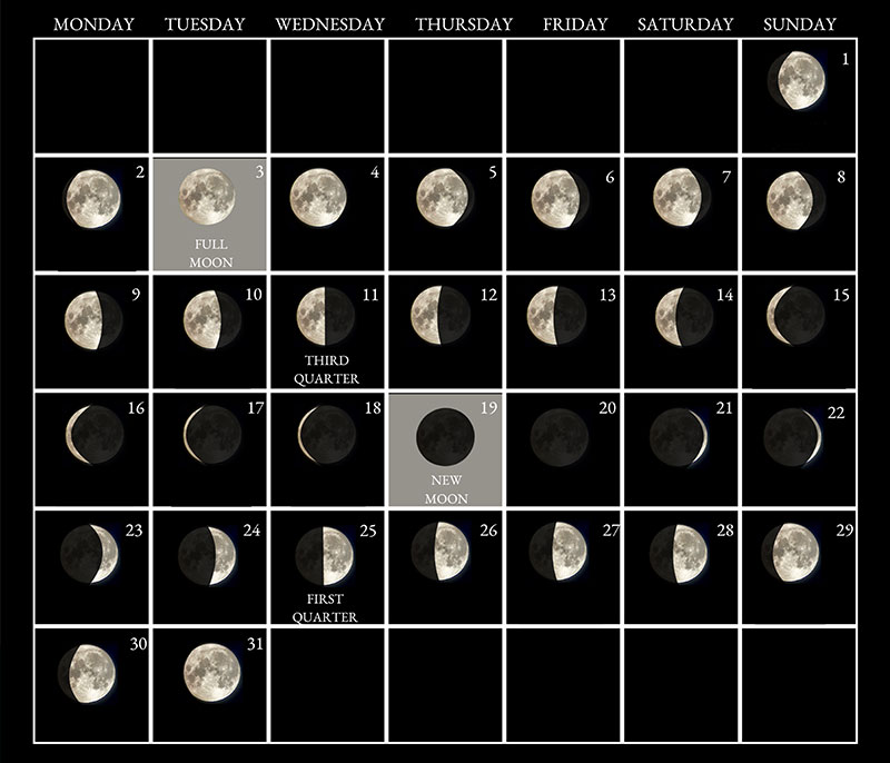 Moon phases image - March 2026