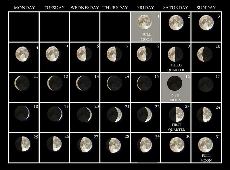 Moon phases image - May 2026