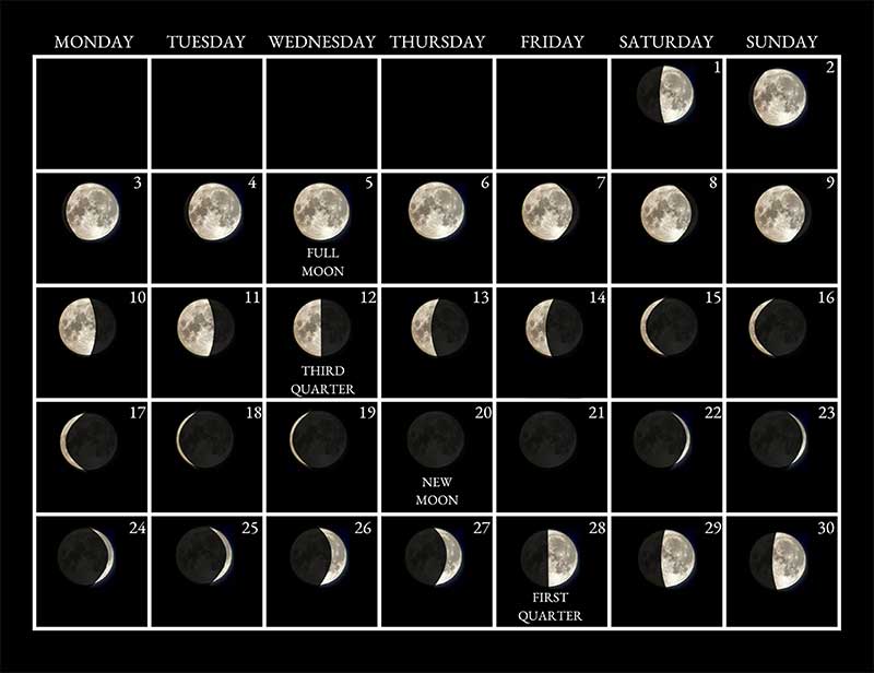Moon phases image - November 2025