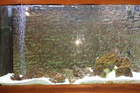 Aquarium Image 11