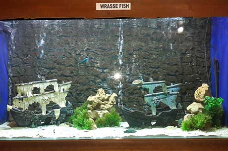 Aquarium Image 13