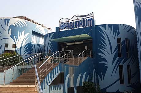Aquarium Image 3