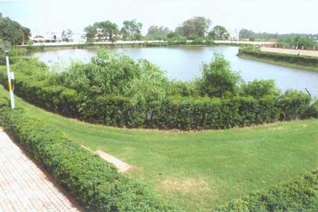 Shayamji Krishna Varma Lake Garden - South Zone