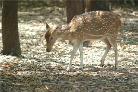 Nature Park Image 4