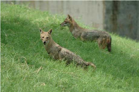 Nature Park Image 8