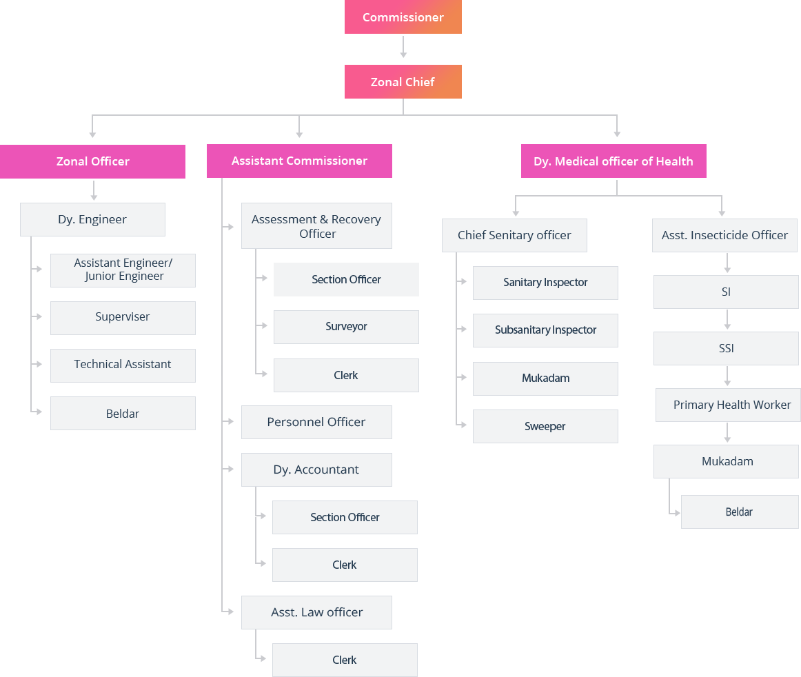 Smc Org Chart